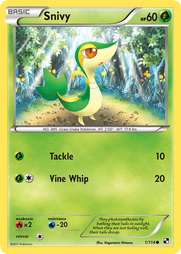 Snivy Pokémon TCG card art