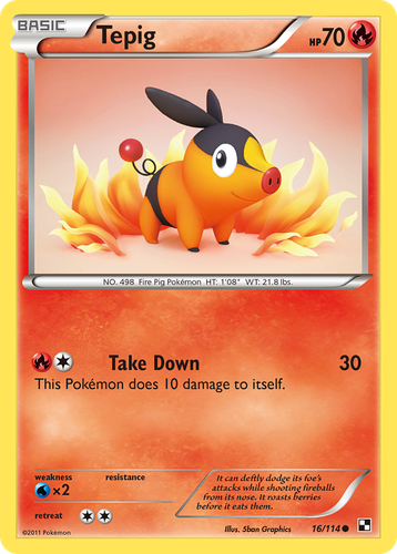 Tepig Pokémon TCG card art