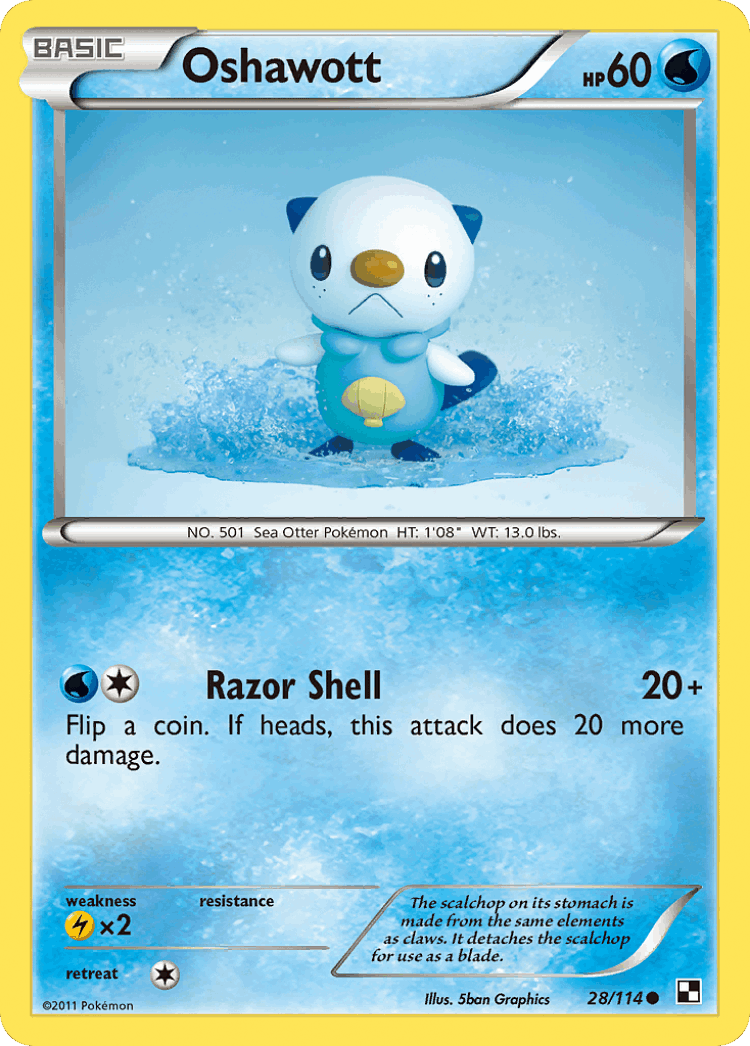 Oshawott #28 from Black & White - Common - Illustrated by 5ban Graphics