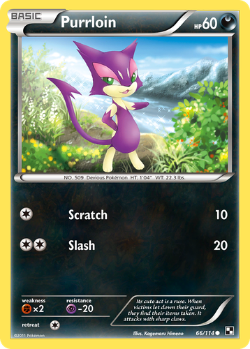 Purrloin 66, Black & White