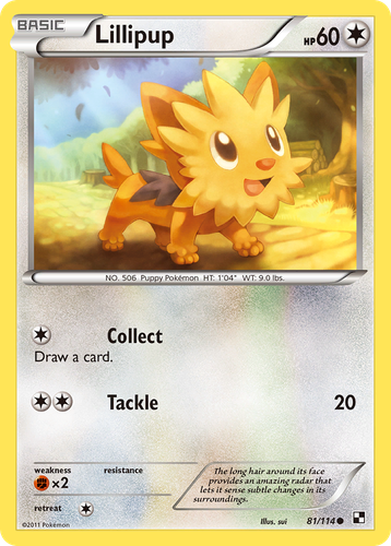 Lillipup 81, Black & White