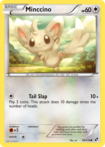 Minccino 88, Black & White