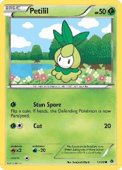 Petilil Pokémon TCG card art