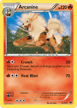 Arcanine Pokémon TCG card art