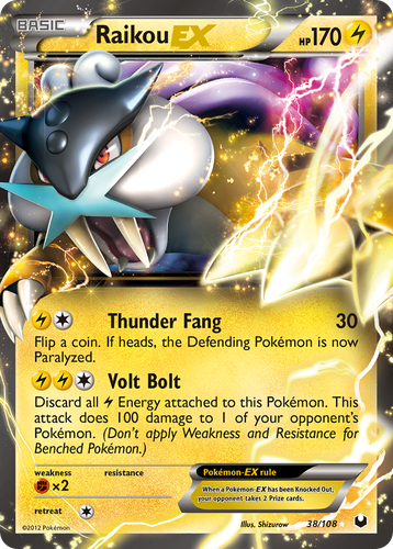 Raikou-EX 38, Dark Explorers