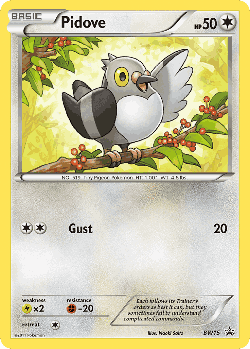 Pidove Pokémon TCG card art