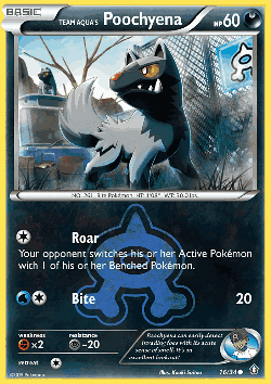 Team Aqua's Poochyena Pokémon TCG card art