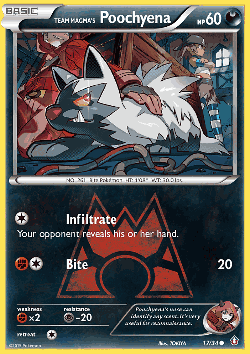 Team Magma's Poochyena Pokémon TCG card art