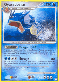 Gyarados 26, Mysterious Treasures