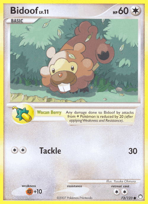 Bidoof 73, Mysterious Treasures
