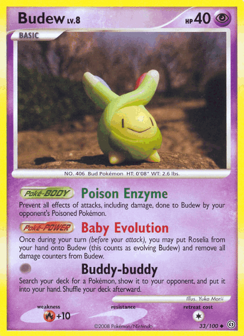 Budew 33, Stormfront