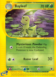 Bayleef 71, Expedition Base Set