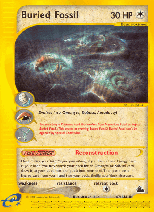 Buried Fossil 47, Skyridge