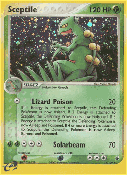 Sceptile Pokémon TCG card art