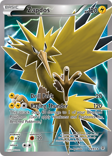 Zapdos 29, Generations