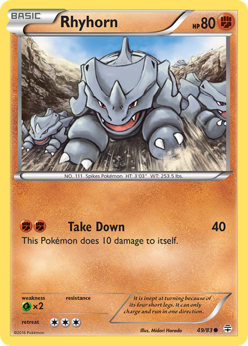 Rhyhorn 49, Generations