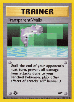 Transparent Walls 125, Gym Challenge
