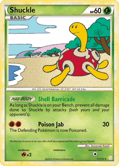 Shuckle Pokémon TCG card art