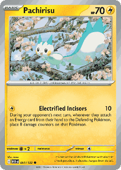 Pachirisu 51, Mega Evolution