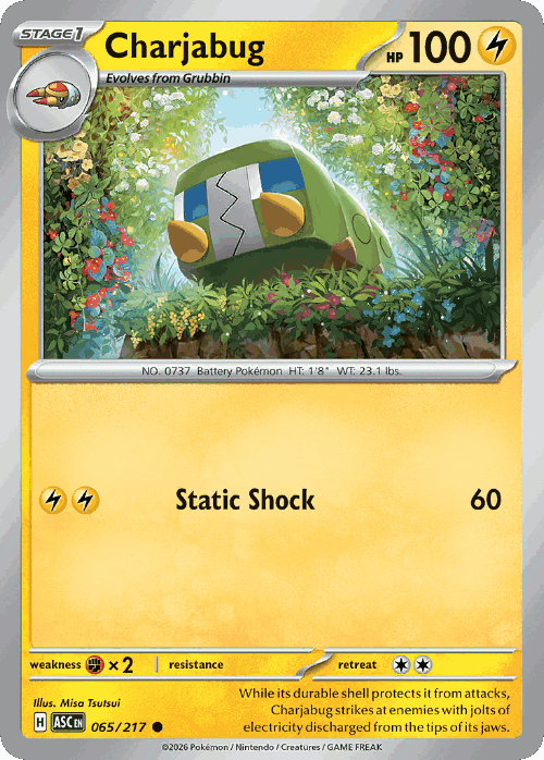Charjabug #65 from Ascended Heroes - Common - Illustrated by Misa Tsutsui
