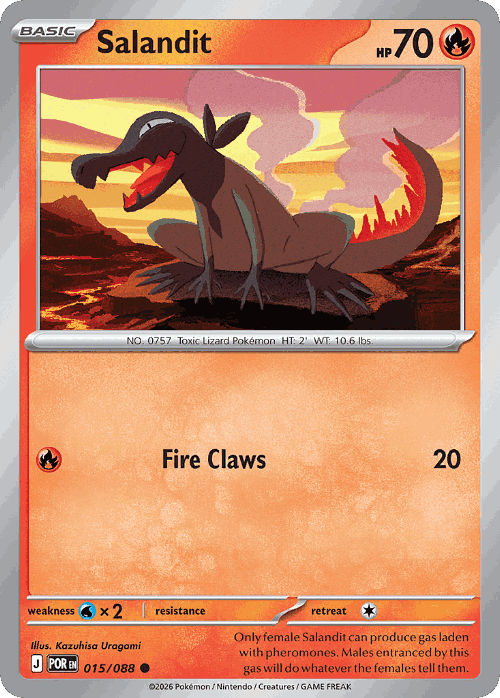 Salandit Perfect Order card