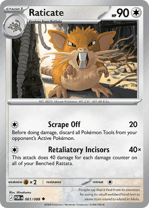 Raticate 61, Perfect Order