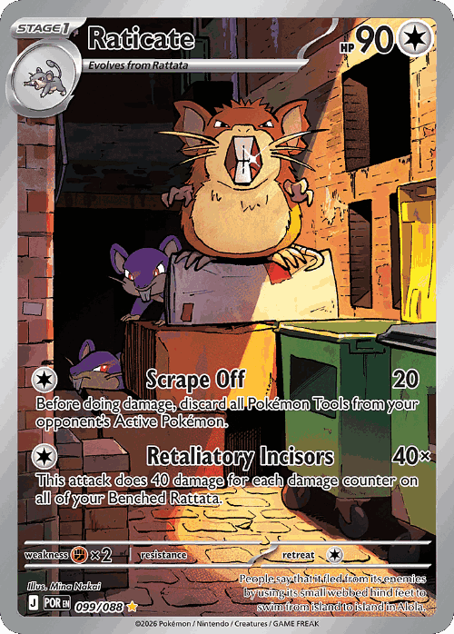 Raticate 99, Perfect Order