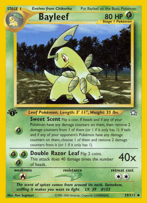 Bayleef 29, Neo Genesis
