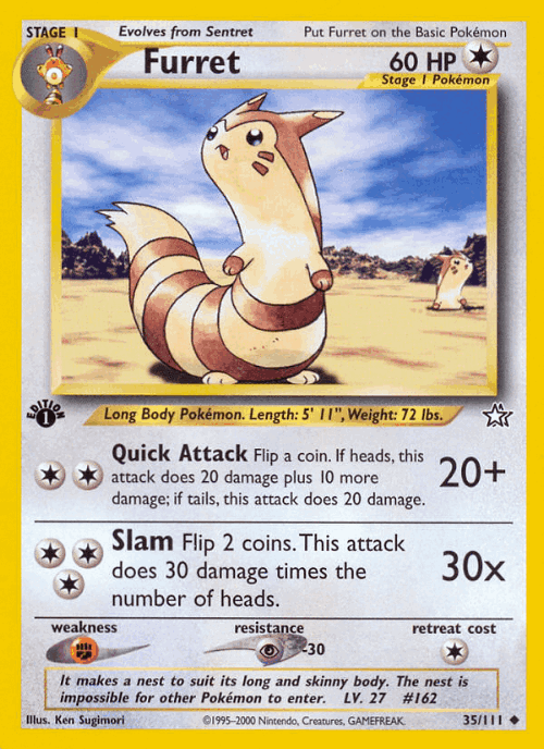 Furret 35, Neo Genesis