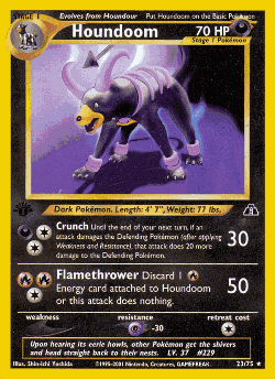 Houndoom Pokémon TCG card art