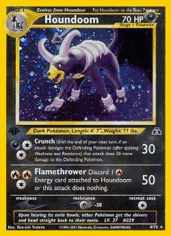 Houndoom Pokémon TCG card art