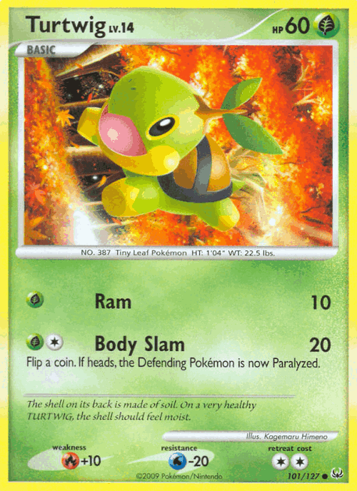 Turtwig 101, Platinum