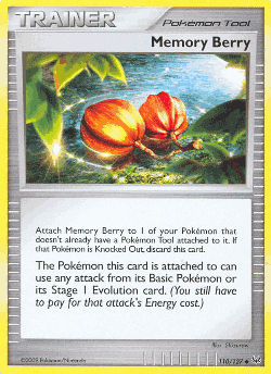 Memory Berry 110, Platinum
