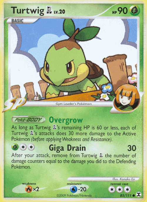 Turtwig GL 85, Rising Rivals