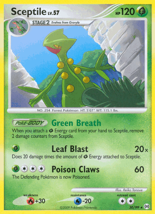 Sceptile 30, Arceus