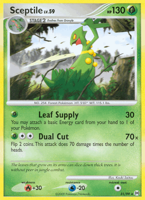 Sceptile 31, Arceus