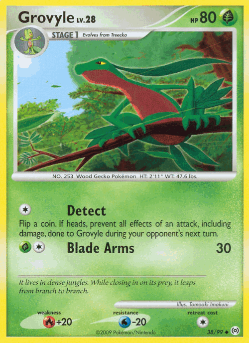 Grovyle 38, Arceus