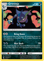 Greninja 117, Unbroken Bonds