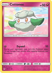 Cottonee 139, Unbroken Bonds