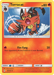 Torracat 28, Unbroken Bonds