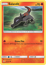 Salandit 30, Unbroken Bonds