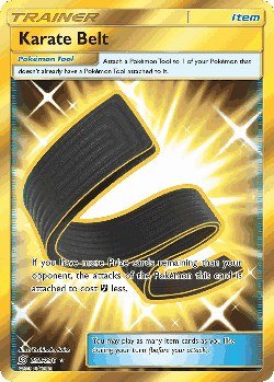 Karate Belt 252, Unified Minds