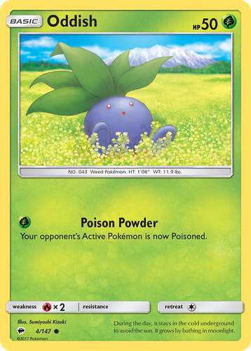 Pooka App Mockup