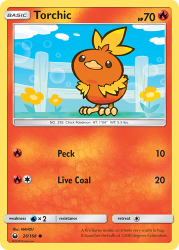 Torchic 26, Celestial Storm