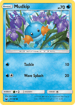 Mudkip 33, Celestial Storm