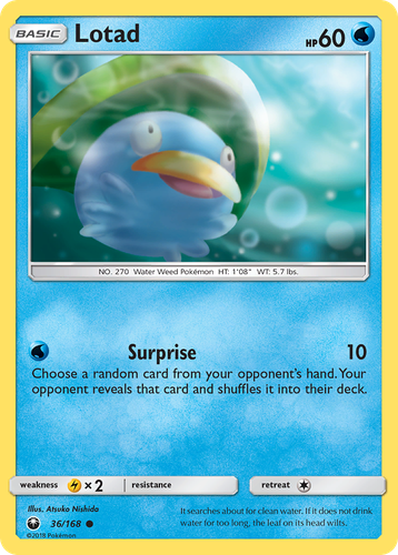 Lotad 36, Celestial Storm