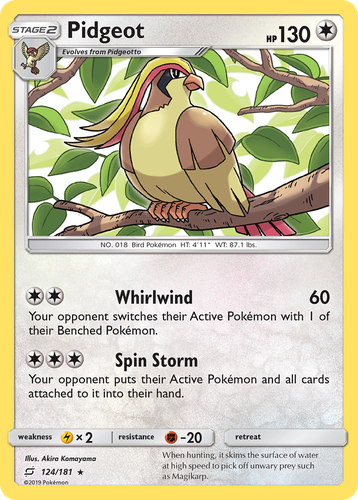 Pidgeot 124, Team Up