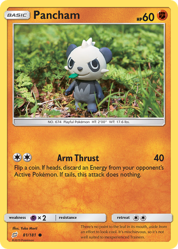 Pancham 81, Team Up