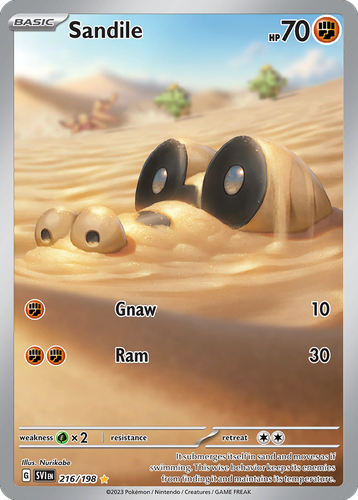 Sandile 216, Scarlet & Violet