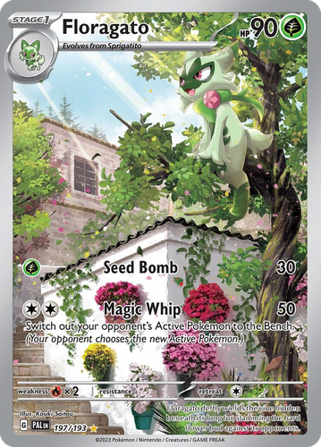 Floragato 197, Paldea Evolved